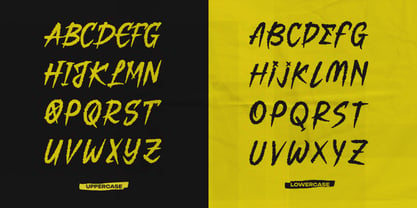 Noise Plays Font Poster 10