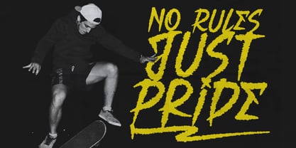 Noise Plays Font Poster 2
