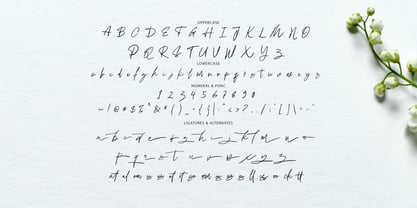 Mishelli Signature Font Poster 6