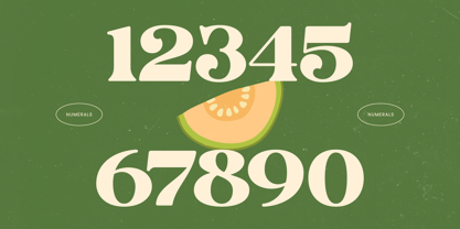 Jungle Melon Font Poster 9