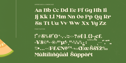 Jungle Melon Font Poster 14