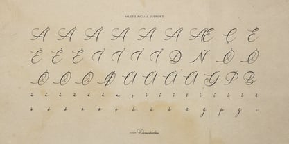 Sanluigi Nothaylor Font Poster 11