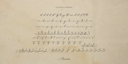Sanluigi Nothaylor Font Poster 12