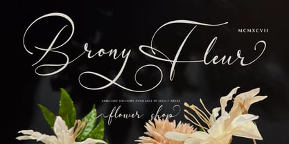 Sanluigi Nothaylor Font Poster 4