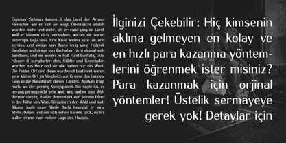 Averilsad Font Poster 9