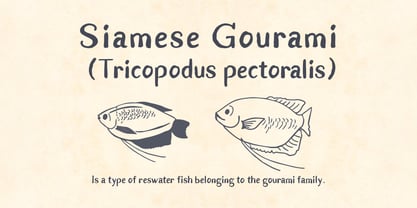 Gurame Font Poster 4