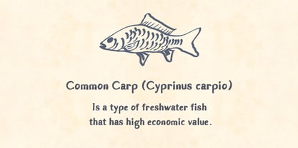 Gurame Font Poster 2