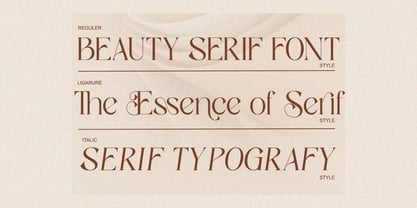 Sassy Born Font Poster 12