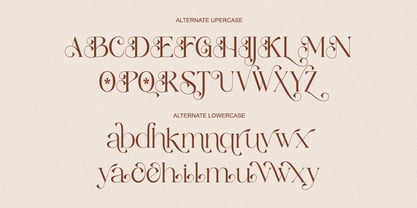 Sassy Born Font Poster 8