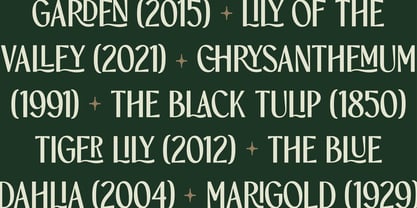 TBJ Orcherum II Font Poster 9