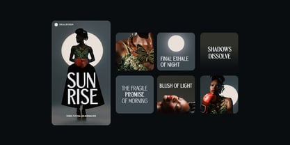 TBJ Orcherum II Font Poster 13