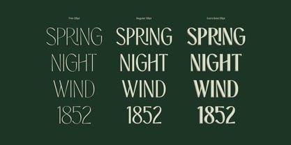 TBJ Orcherum II Font Poster 7