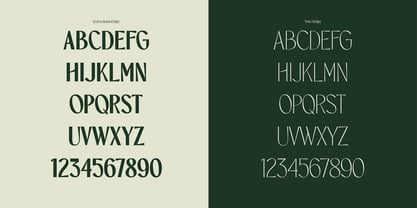 TBJ Orcherum II Font Poster 8