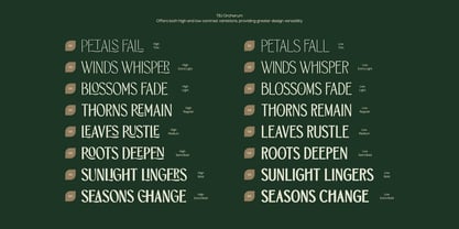 TBJ Orcherum II Font Poster 3