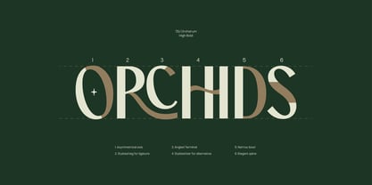TBJ Orcherum II Font Poster 5