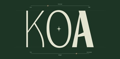 TBJ Orcherum II Font Poster 10