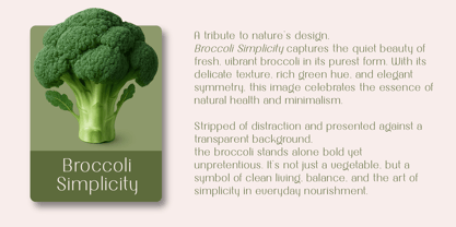 Angkel Font Poster 3