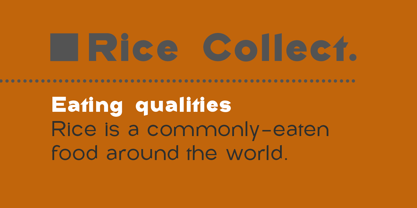 Rice Collect Font Poster 5