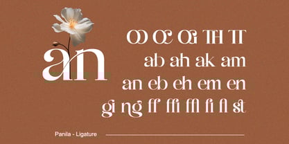 Panila Font Poster 9
