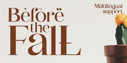 Panila Font Poster 11