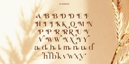 Panila Font Poster 8