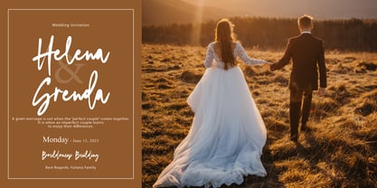 Dream Dolphin Font Poster 2