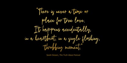 Dream Dolphin Font Poster 7