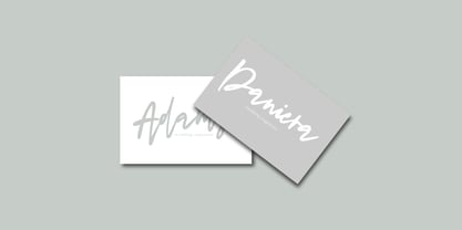 Dream Dolphin Font Poster 8