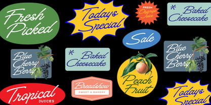 Signaturide Font Poster 10