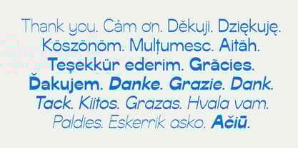 Svaiga Font Poster 11