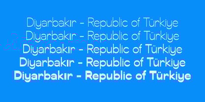 Svaiga Font Poster 8