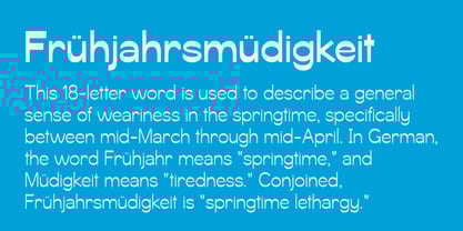 Svaiga Font Poster 9