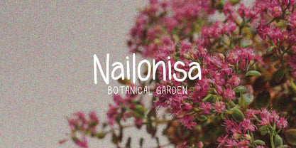 Rafiken Display Font Poster 6