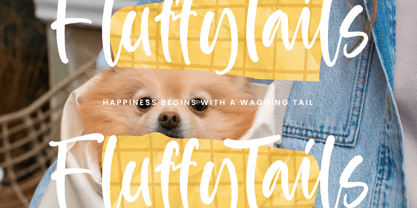 Apricot Bubbles Font Poster 9