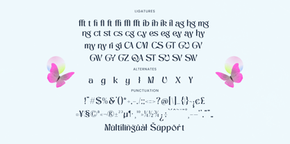 Magvix Font Poster 10