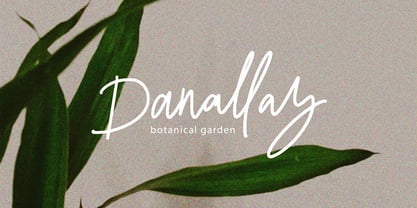 Memossay Signature Font Poster 4
