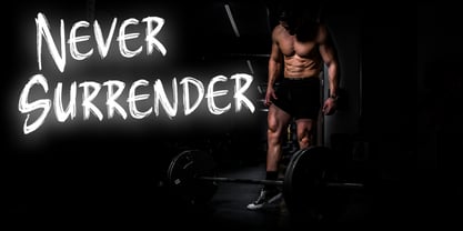 Phoenix Martyr Font Poster 8