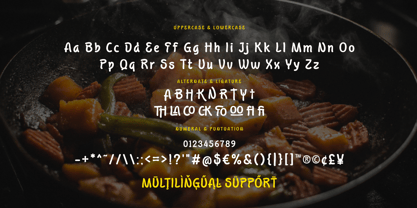 Tooh Byawin Font Poster 9
