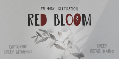 Saymour Font Poster 4