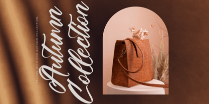 Players Climber Font Poster 11