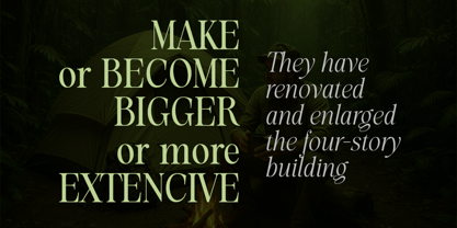 Evolve Early Font Poster 2