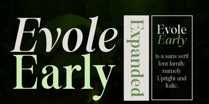 Evolve Early Font Poster 8
