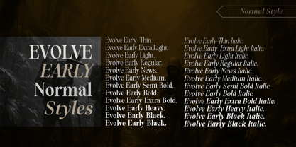 Evolve Early Font Poster 7