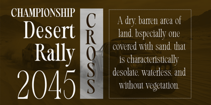 Evolve Early Font Poster 5