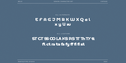 Genira Font Poster 14