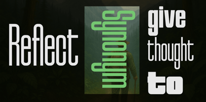 Reflect of Strictly Font Poster 3