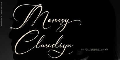 Hamedory Dumbless Font Poster 4