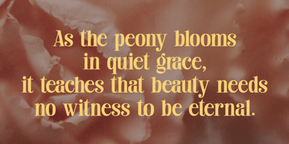 Eristone Font Poster 3