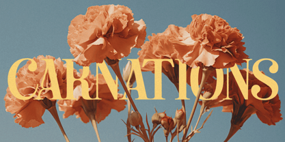 Eristone Font Poster 6