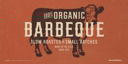 MARLIN Font Poster 11